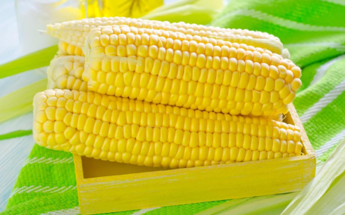 玉米期貨交易時(shí)間是幾點(diǎn)?日內(nèi)交易怎