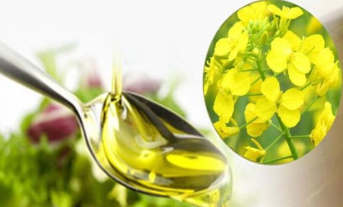 菜粕期貨買入手續費支出額度低嗎？