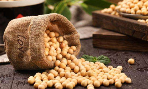 什么是豆粕期貨？豆粕期貨標的物介