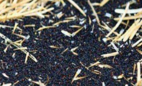 新手計算菜粕期貨的手續費簡單嗎？