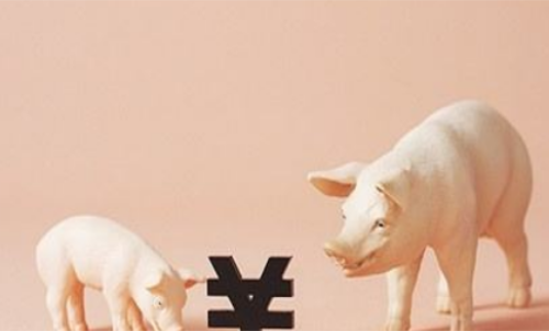 一手生豬期貨交易成本要多少錢？保