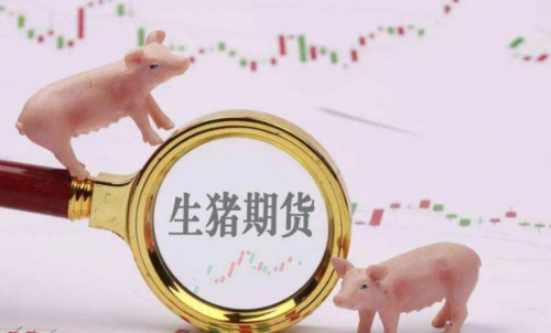 生豬期貨未來(lái)走勢(shì)將會(huì)如何？生豬期
